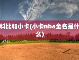 科比和小卡(小卡nba全名是什么)