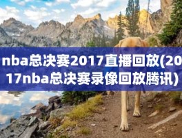 nba总决赛2017直播回放(2017nba总决赛录像回放腾讯)