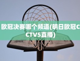 欧冠决赛哪个频道(明日欧冠CCTV5直播)