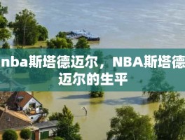 nba斯塔德迈尔，NBA斯塔德迈尔的生平