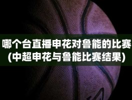 哪个台直播申花对鲁能的比赛(中超申花与鲁能比赛结果)