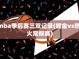 nba季后赛三双记录(掘金vs热火常规赛)