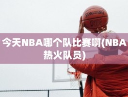 今天NBA哪个队比赛啊(NBA热火队员)