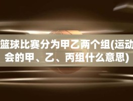 篮球比赛分为甲乙两个组(运动会的甲、乙、丙组什么意思)