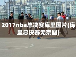 2017nba总决赛库里图片(库里总决赛无奈图)