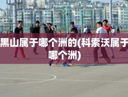 黑山属于哪个洲的(科索沃属于哪个洲)