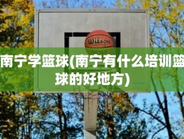 南宁学篮球(南宁有什么培训篮球的好地方)
