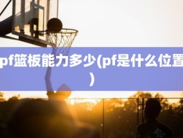 pf篮板能力多少(pf是什么位置)