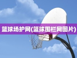 篮球场护网(篮球围栏网图片)