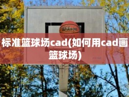 标准篮球场cad(如何用cad画篮球场)