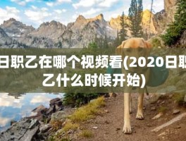 日职乙在哪个视频看(2020日职乙什么时候开始)