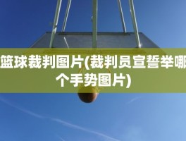 篮球裁判图片(裁判员宣誓举哪个手势图片)