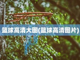 篮球高清大图(篮球高清图片)