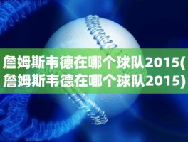 詹姆斯韦德在哪个球队2015(詹姆斯韦德在哪个球队2015)