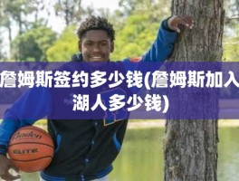 詹姆斯签约多少钱(詹姆斯加入湖人多少钱)