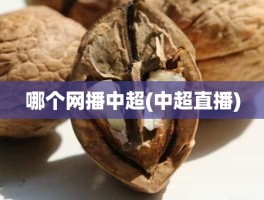 哪个网播中超(中超直播)