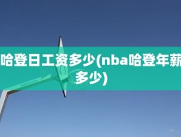 哈登日工资多少(nba哈登年薪多少)