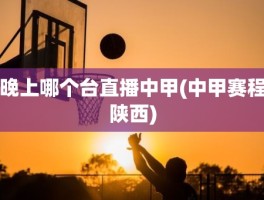 晚上哪个台直播中甲(中甲赛程陕西)