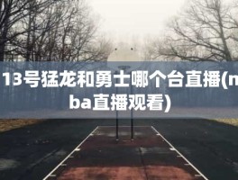 13号猛龙和勇士哪个台直播(nba直播观看)