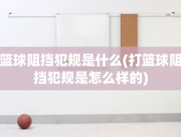 篮球阻挡犯规是什么(打篮球阻挡犯规是怎么样的)