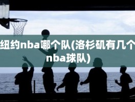 纽约nba哪个队(洛杉矶有几个nba球队)