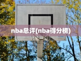 nba总评(nba得分榜)