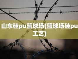 山东硅pu篮球场(篮球场硅pu工艺)