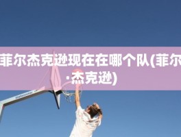 菲尔杰克逊现在在哪个队(菲尔·杰克逊)