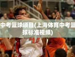 中考篮球项目(上海体育中考篮球标准视频)