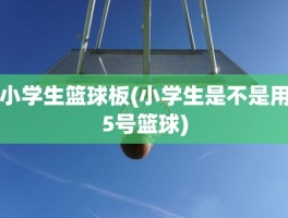 小学生篮球板(小学生是不是用5号篮球)