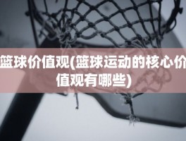 篮球价值观(篮球运动的核心价值观有哪些)