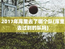 2017年库里去了哪个队(库里去过别的队吗)