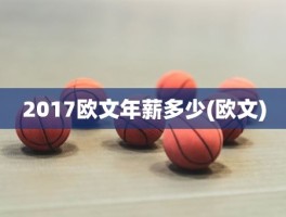 2017欧文年薪多少(欧文)