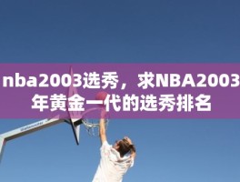 nba2003选秀，求NBA2003年黄金一代的选秀排名