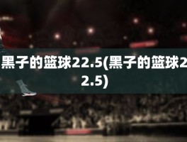 黑子的篮球22.5(黑子的篮球22.5)