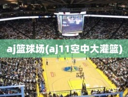 aj篮球场(aj11空中大灌篮)