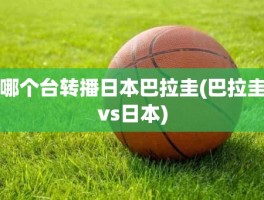 哪个台转播日本巴拉圭(巴拉圭vs日本)