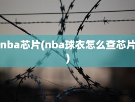 nba芯片(nba球衣怎么查芯片)