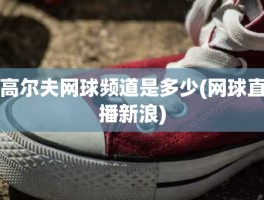 高尔夫网球频道是多少(网球直播新浪)