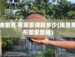 埃里克 布莱索弹跳多少(埃里克布莱索数据)