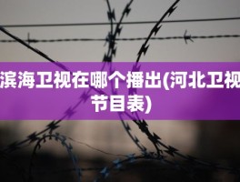 滨海卫视在哪个播出(河北卫视节目表)