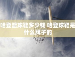 哈登篮球鞋多少钱 哈登球鞋是什么牌子的