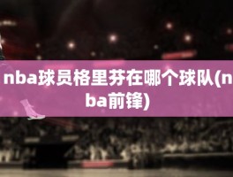 nba球员格里芬在哪个球队(nba前锋)