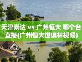 天津泰达 vs 广州恒大 哪个台直播(广州恒大世俱杯视频)