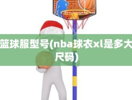 篮球服型号(nba球衣xl是多大尺码)