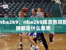 nba2k9，nba2k9球员各项数据都是什么意思