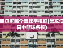 哈尔滨哪个篮球学校好(黑龙江高中篮球名校)