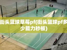 街头篮球草莓pf(街头篮球pf多少能力秒板)