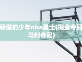 骄傲的少年nba勇士(掘金夺冠马刺夺冠)