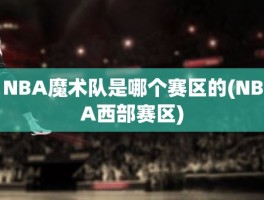 NBA魔术队是哪个赛区的(NBA西部赛区)